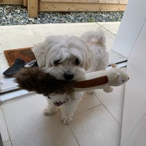 Meet your Posher, Jenny